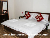 Hunder Eco Villa Nubra Double Beded Room